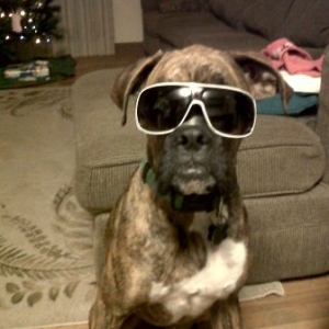 Kool Mo Dee got nothing on me!