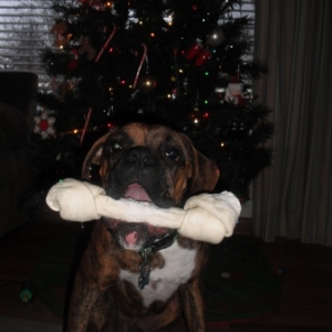 Look what I got mom!
