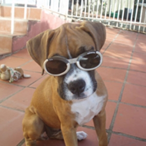 Heidi_Davidson