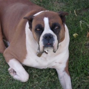 Tyson