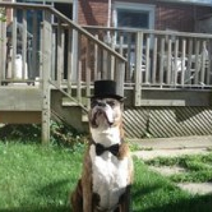 Jaxson with tophat and bowtie-handsome boy!