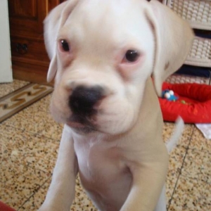 Baby Fiona