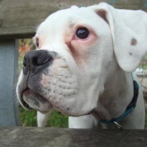 Fiona