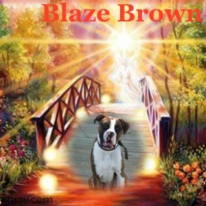 My Baby Blaze