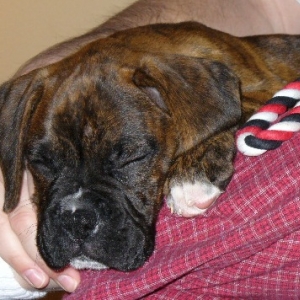 Jagger Sleeping (2 mos)