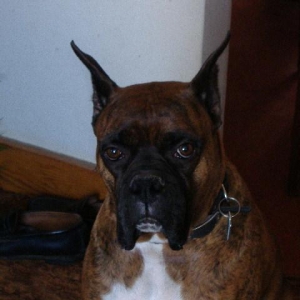 Picture_009_Small_