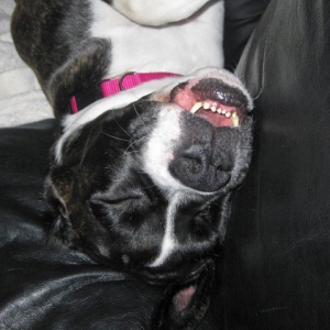 Out Cold Sleeping