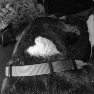 Heart Shape Marking