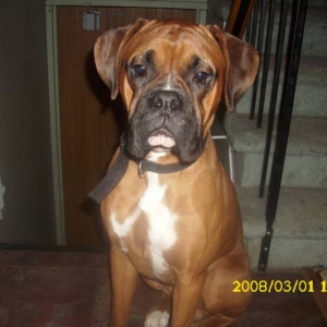 Tyson