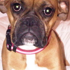 Maggie