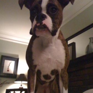 Emma 7mths