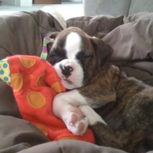 Baby Emma