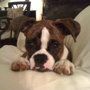 Cute as a Button