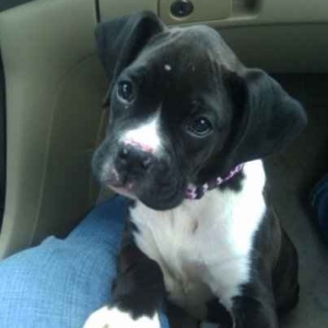Diamond "Indy" Ruff