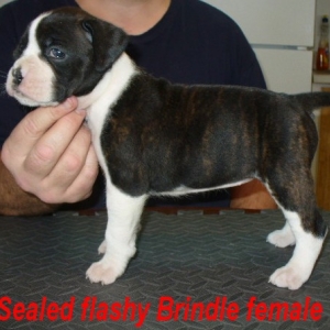Our new baby