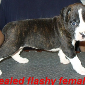 Our baby girl