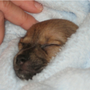 Sleeping