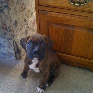 first day home