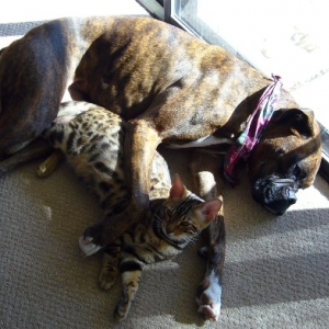 Clare and Ella cuddling
