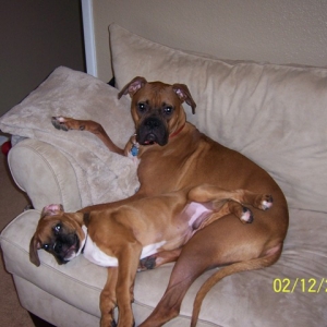 Lounging around