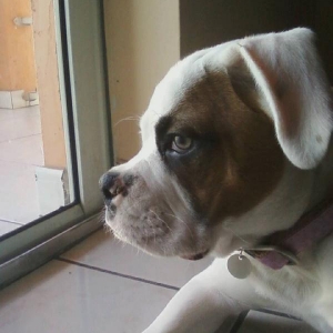 My baby MIA