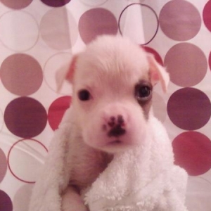 Mia baby pic