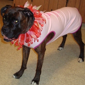 Happy 4th Bday Briseis