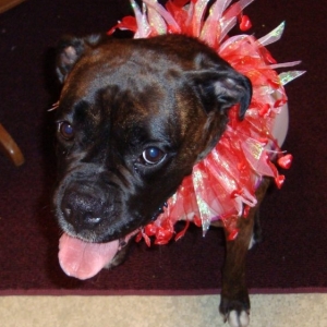 Briseis 4th Bday
