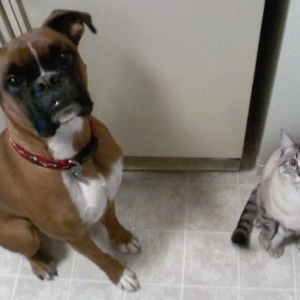 My 2 Boys
