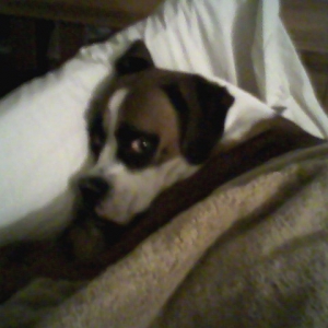 Stole my spot