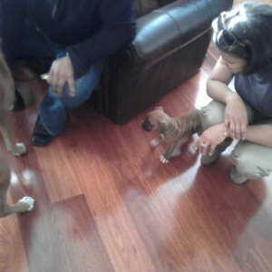 1st day home