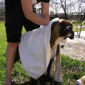 Sonia towel dry