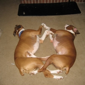 Mirror Image