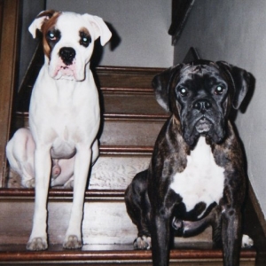 my boxers
