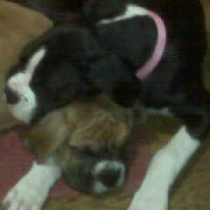 Jaxson and Stella