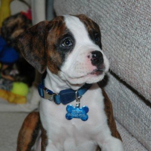 Mugsy