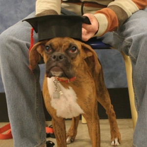 Emma puppy class graduate!!
