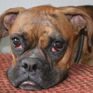Emma pouty face