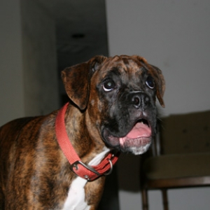 Rupert goofy face