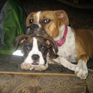 Best of Friends