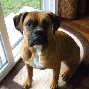 Ruby