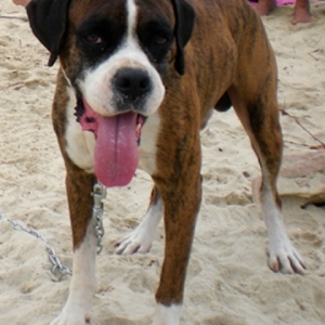 Tyson-Heidi's Dad