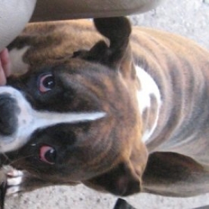 My goofy boy!