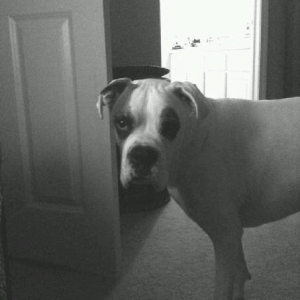 tinks