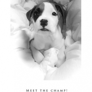 Meet The Champ! :-)