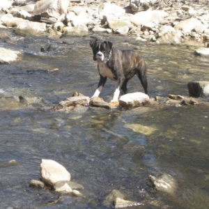 Skylar In The Creek