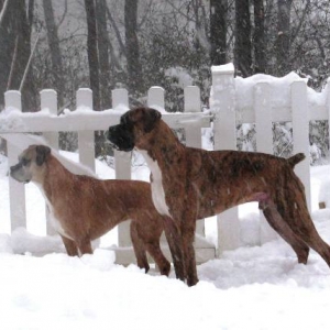 snow14