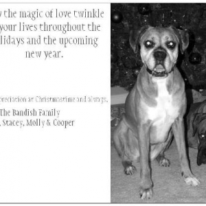 CHRISTMAS_CARD_BACK_bw