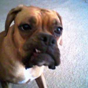 Serious Goofy Lip