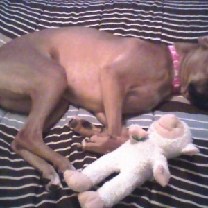 Peaceful Gracie